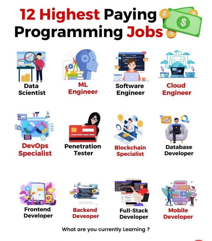 12 Highest paying Programming Jobs