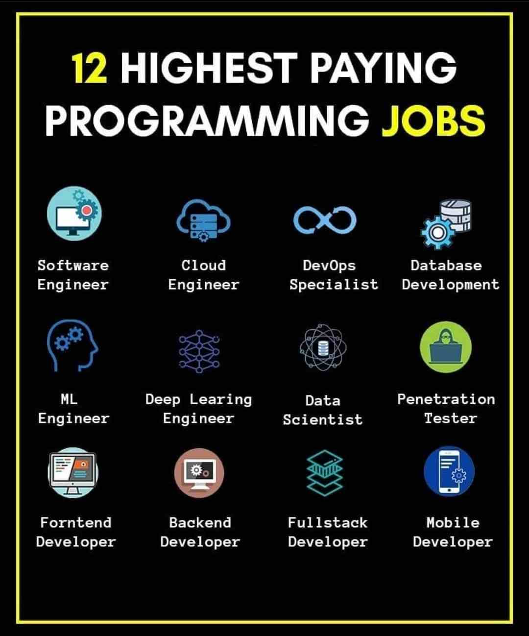 12 Highest paying Programming jobs