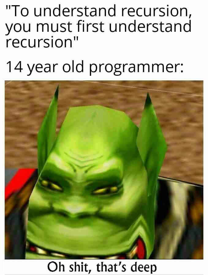 14 year old programmer