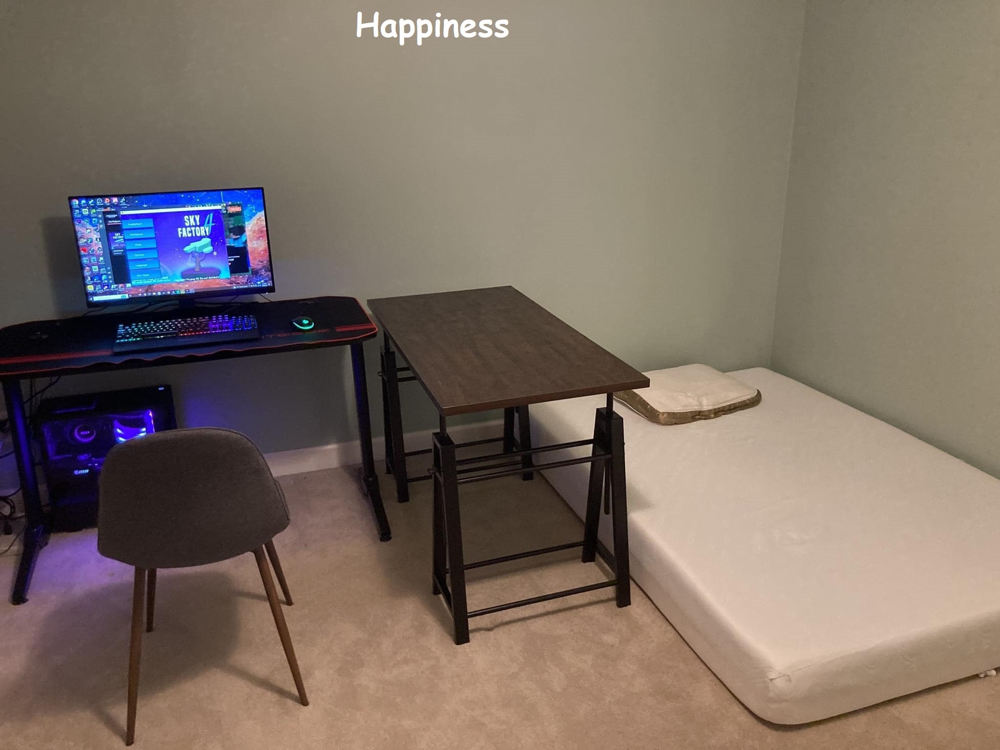 A programmer happiness living area