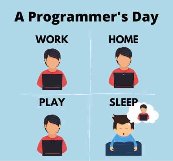 A Programmer's Day