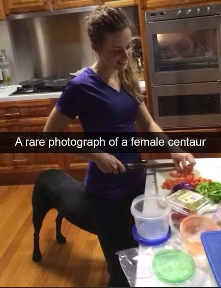 A rare photograph of a female centaur