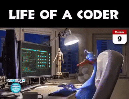 A real life of a coder