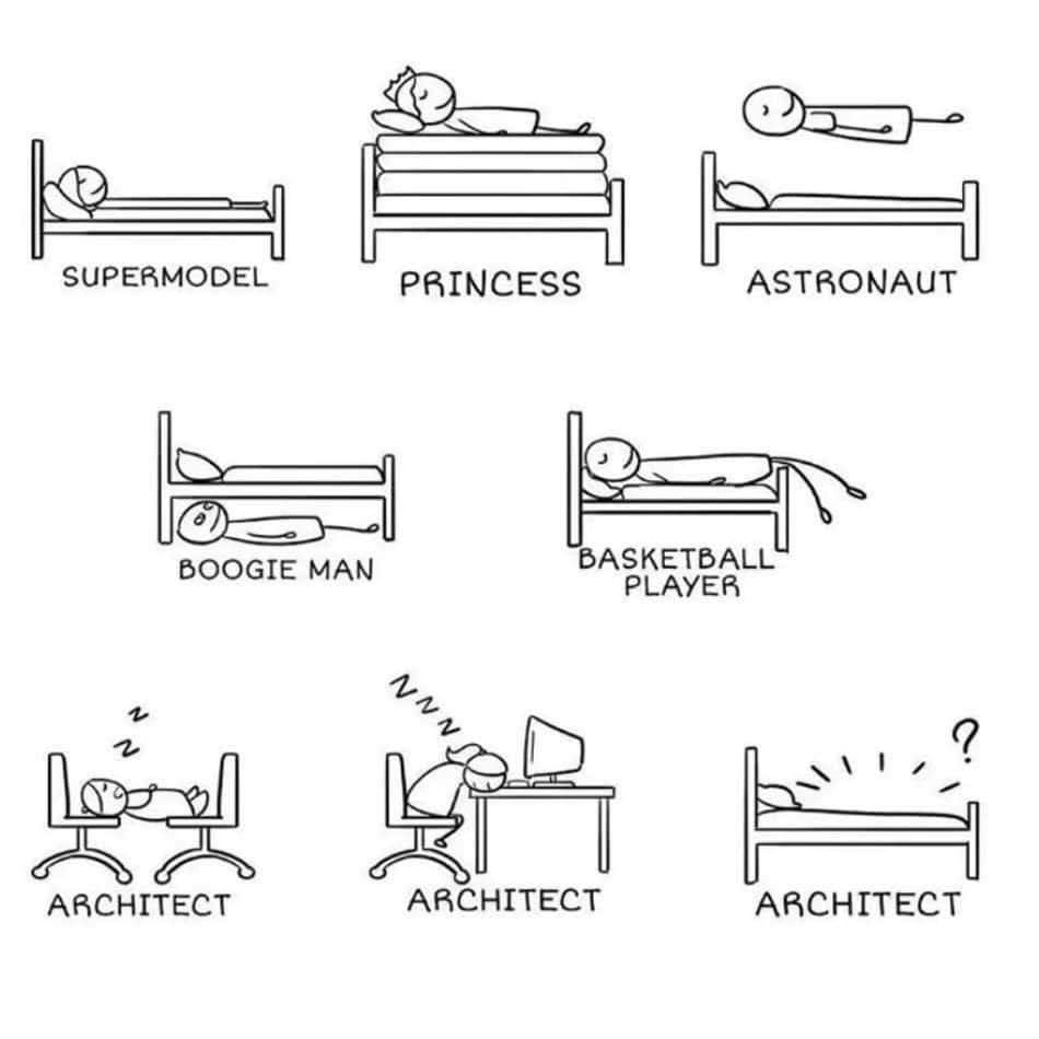 Architects Bed