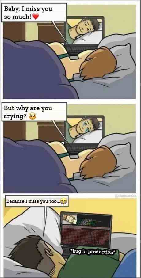 But why are Programmer crying?