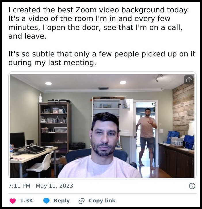 best zoom video background