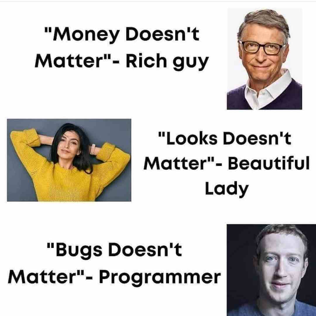 Bugs doesn't matter - Programmer