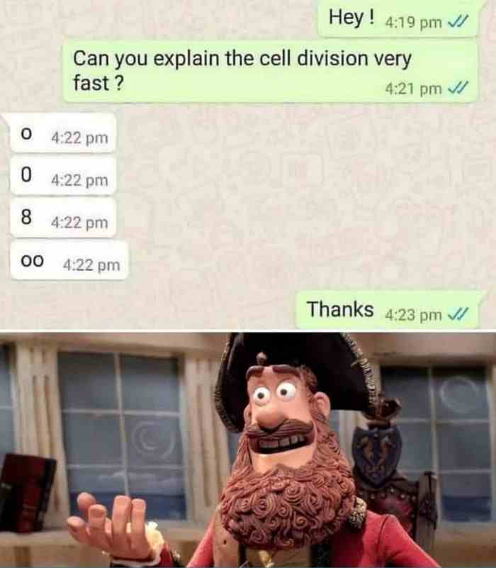 Can you explain the cell division very fast?