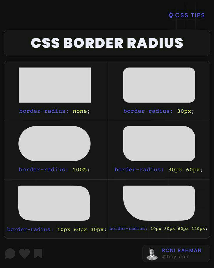 Css border radius Web Disciple