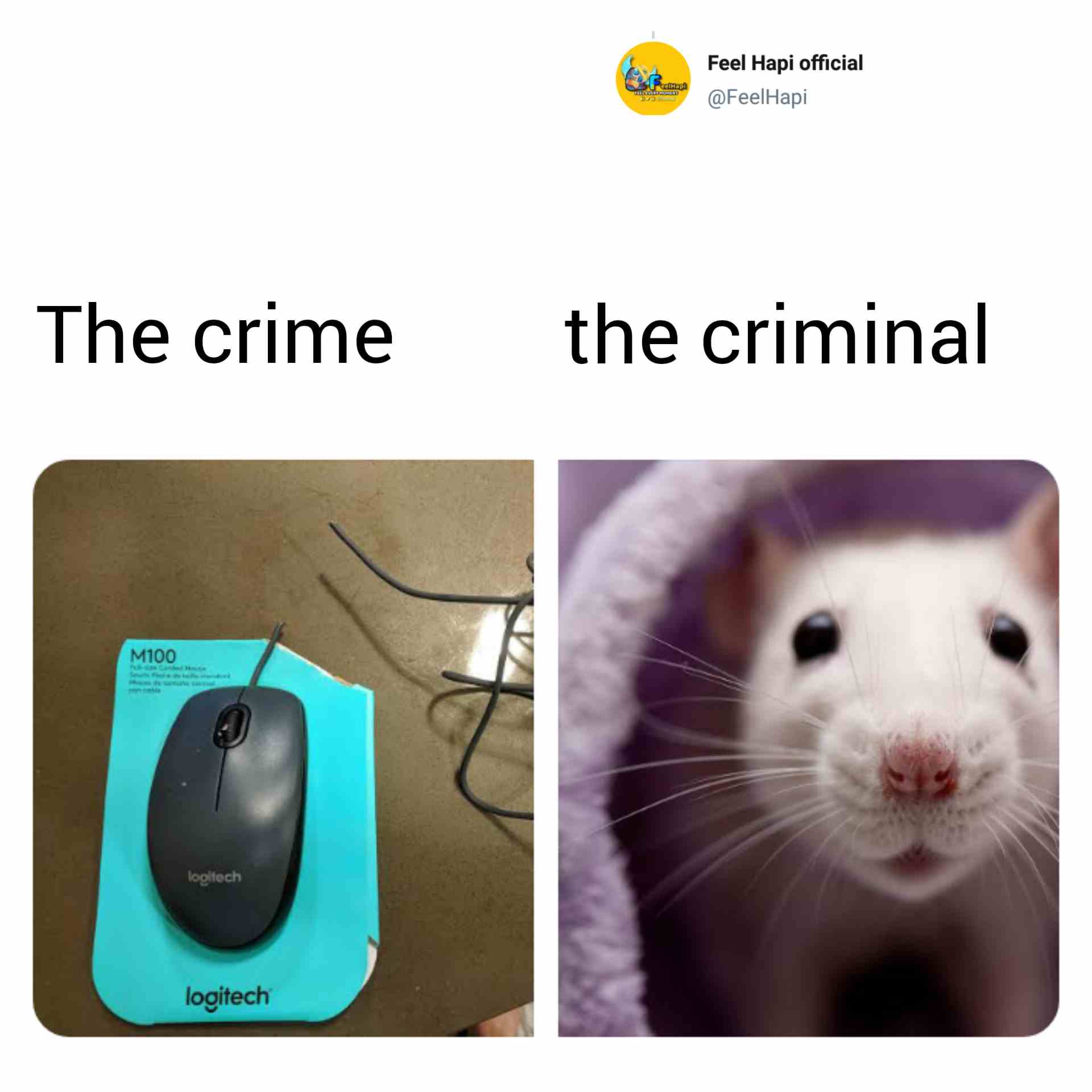 Difference between The crime vs The criminal