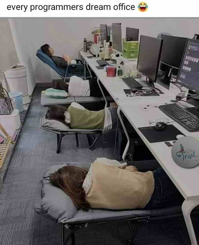 Every Programmers dream office