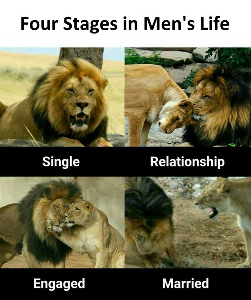 Four Stages in Men's Life