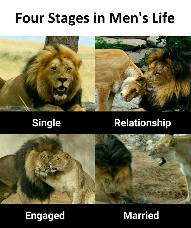 Four Stages in Men