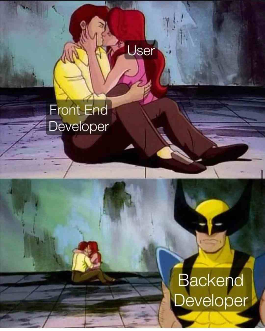Front End Developer & Backend Developer