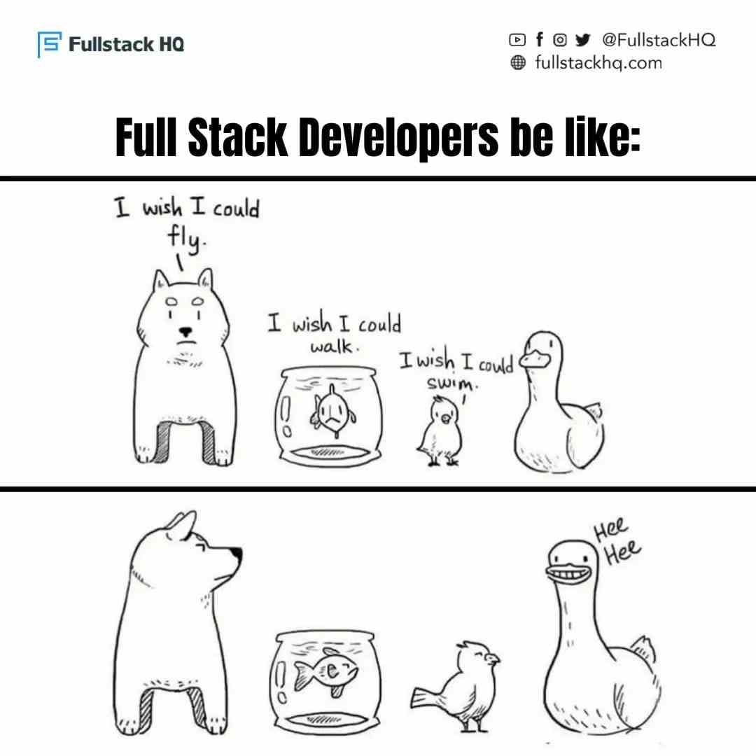 Full stack developers be like