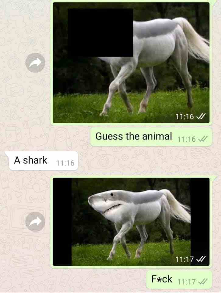 Guess the animal