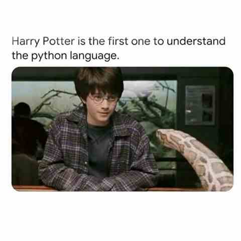 Harry Potter is the first one to understand the python language