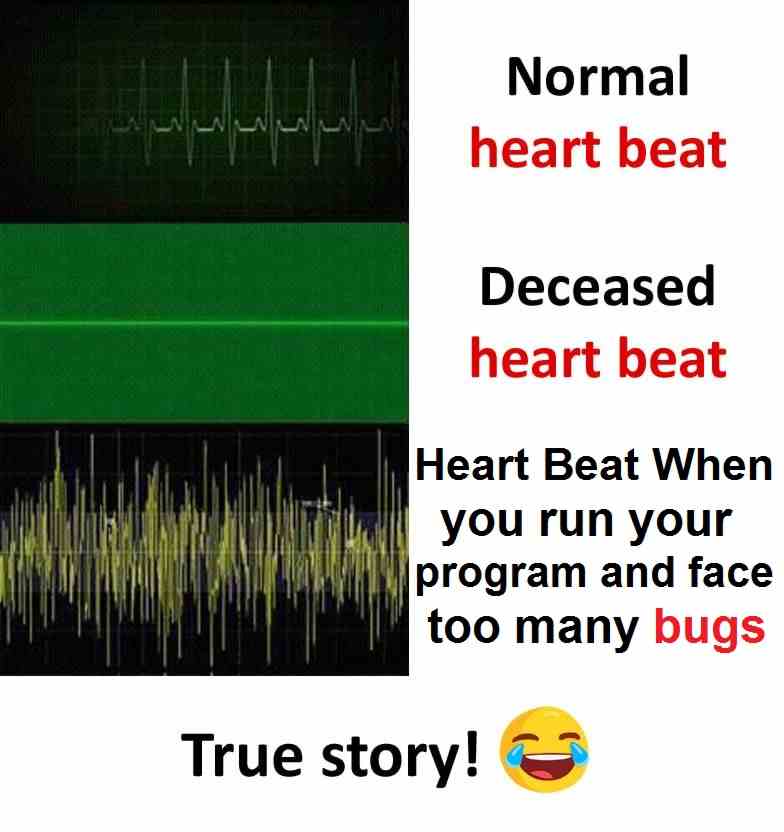 Heart Beat When   you run your  program and face  too many bugs