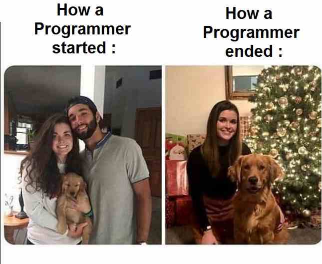How a Programmer started & How a Programmer ended