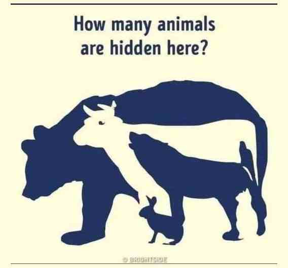 How many animals are hidden here?