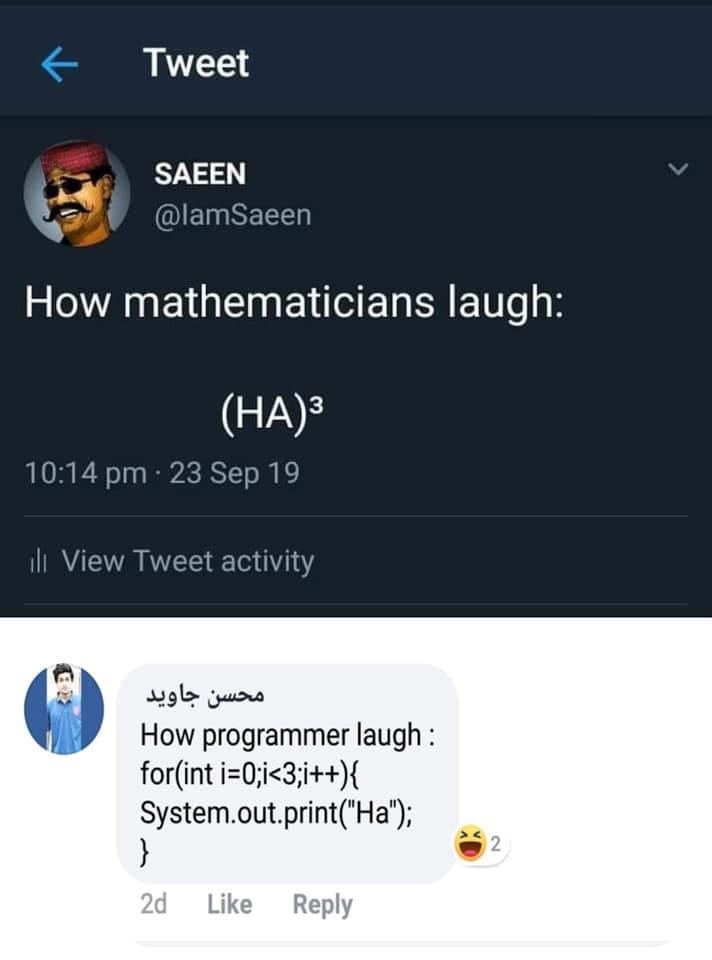 How mathematicians laugh vs How Programmer laugh