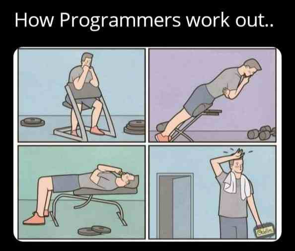 How Programmers work out..
