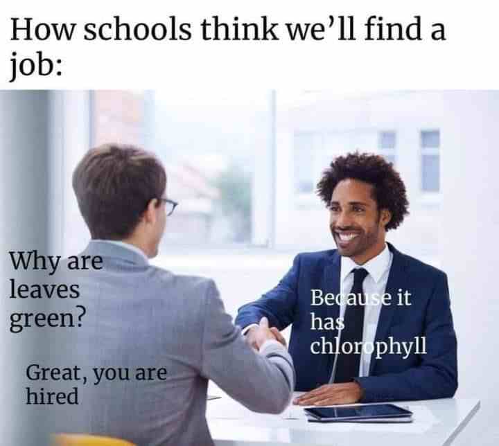 How schools think we'll find a job
