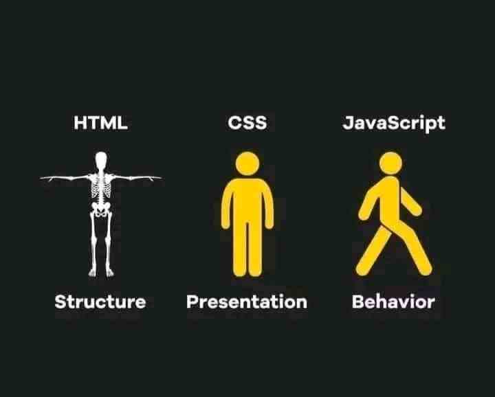 HTML CSS Javascript