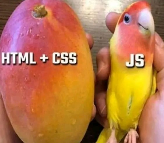 HTML+CSS & JS