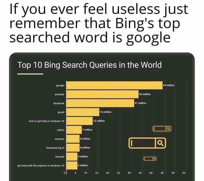 If you ever feel useless just remember that Bing's top searched word is google