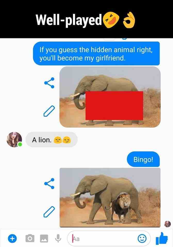 If you guess the hidden animal right you'll become my girlfriend