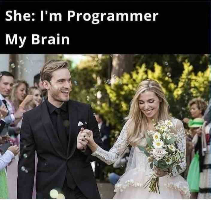  I'm Programmer or My Brain