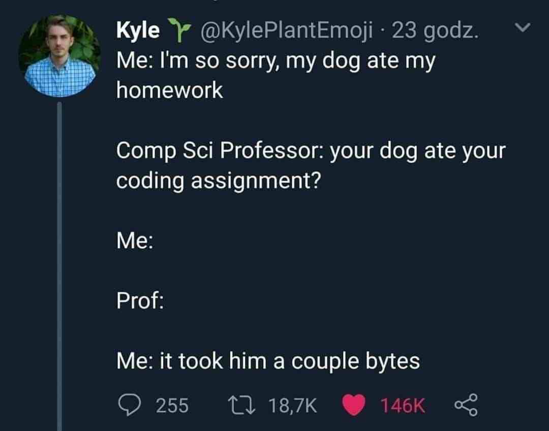 I'm so sorry, my dog ate my homework
