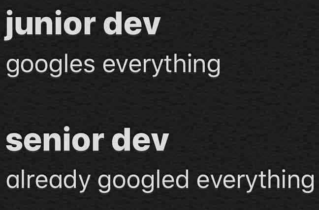 Junior dev vs Senior dev