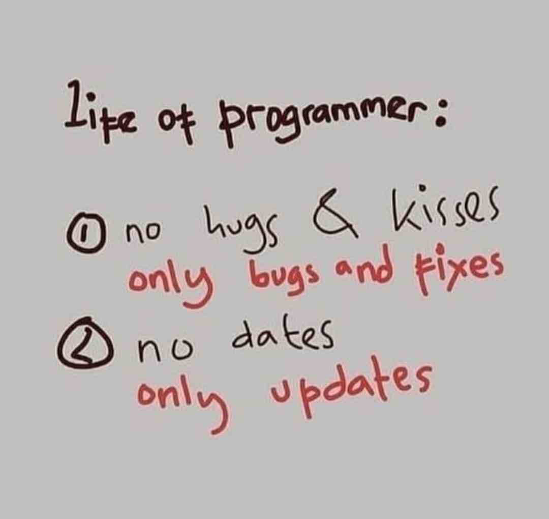 Life of Programmer