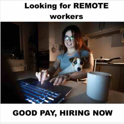 Looking for remote workers