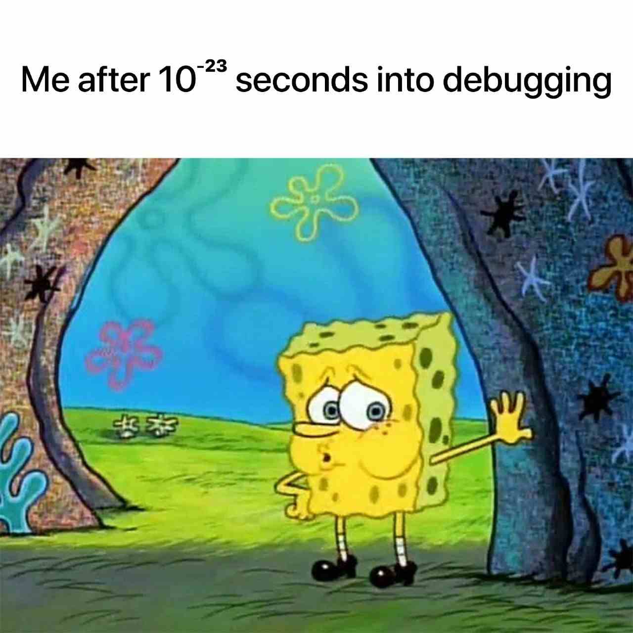 Me after 10^-23 seconds into debugging