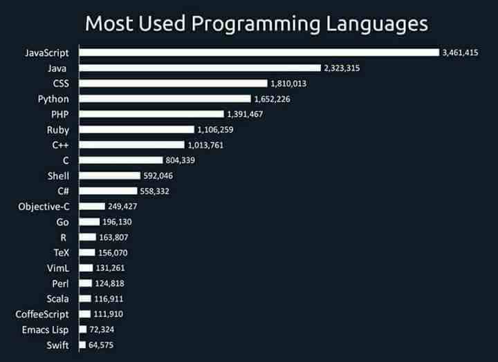 Most used Programming Languages 2019