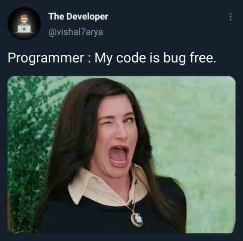 My code is bug free