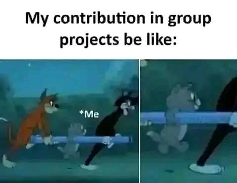 My contribution in group projects be like