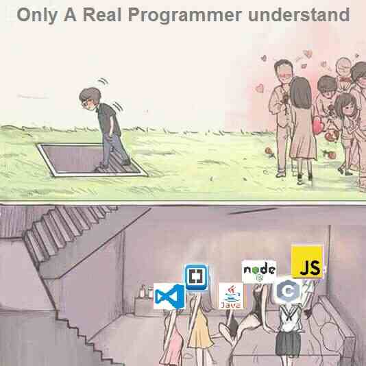 Only A Real Programmer understand