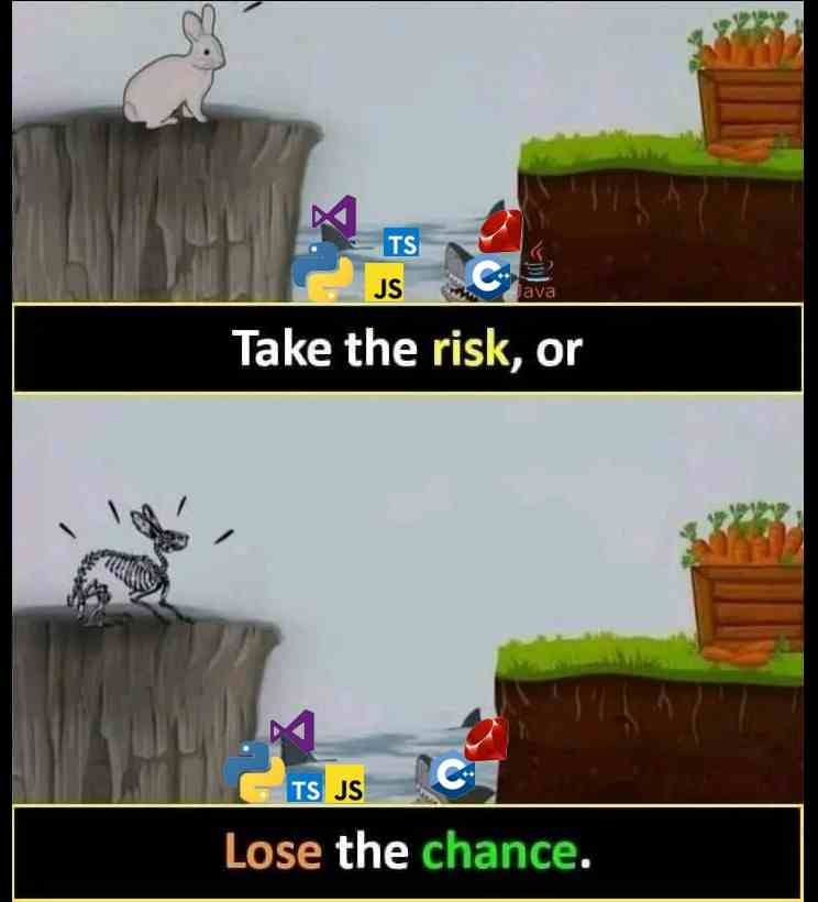 Only Programmer's understand why they take the risk