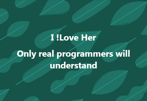 Only real programmers will understand!