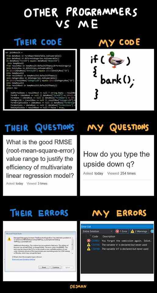 Other Programmers vs Me