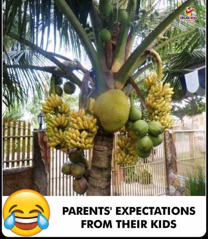 Parents' Expectations from their kids