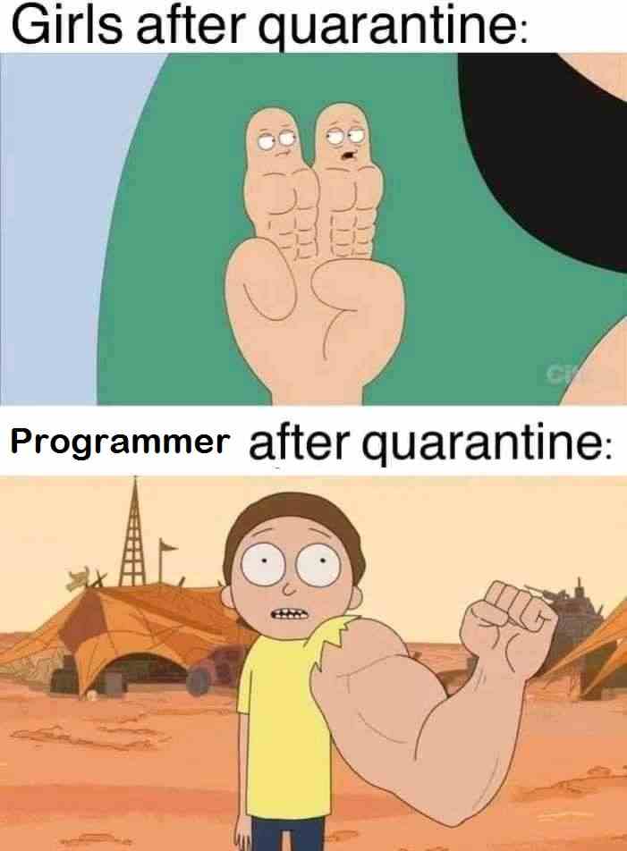 Programmer after quarantine