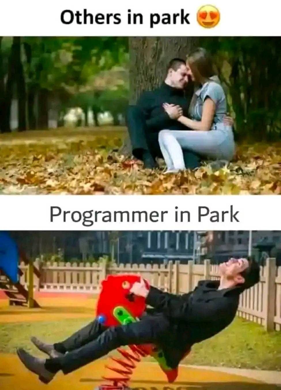 Programmer in park