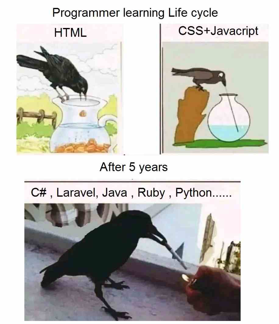 Programmer learning Life cycle