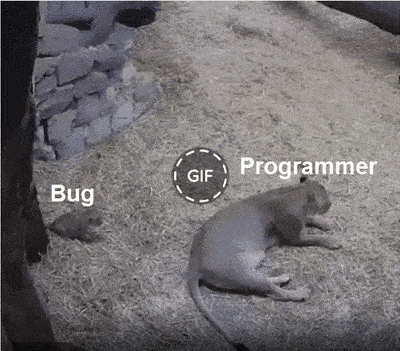 Programmer vs Bug
