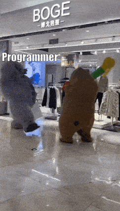 Programmer vs Tester